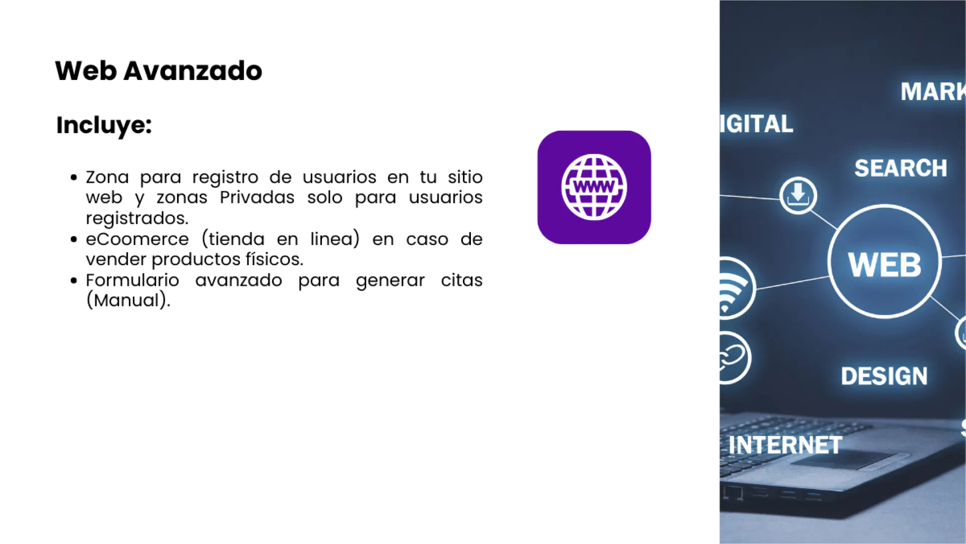 Web-negocios-diapositiva-5